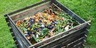 Organic Composting