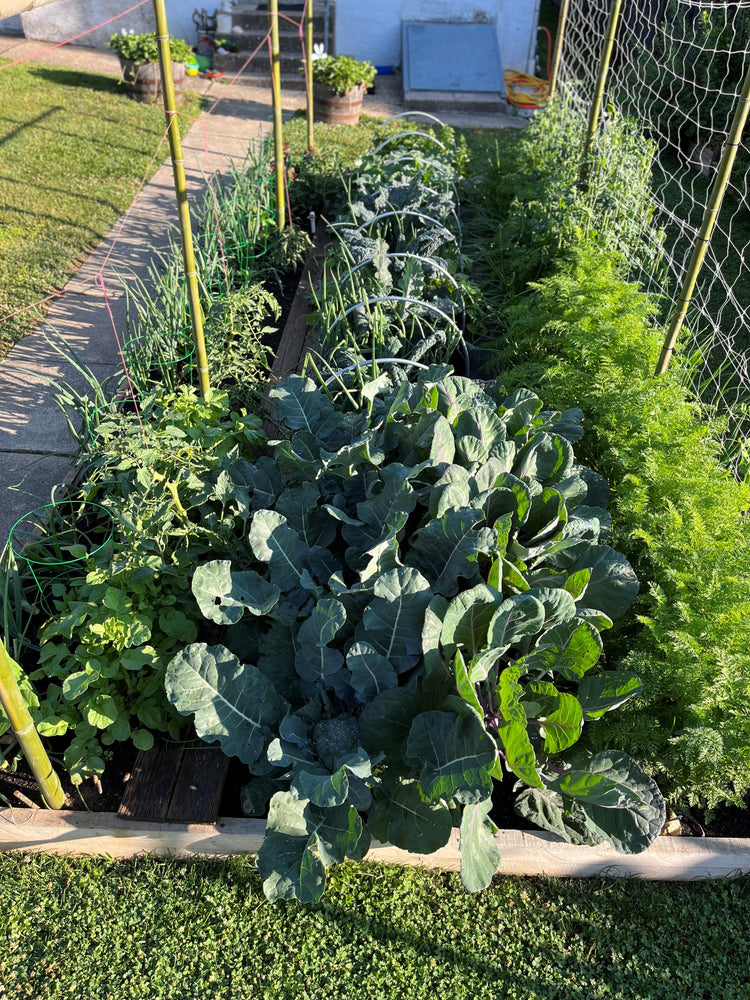 
                  
                    Living Soil Nutrient Pack
                  
                