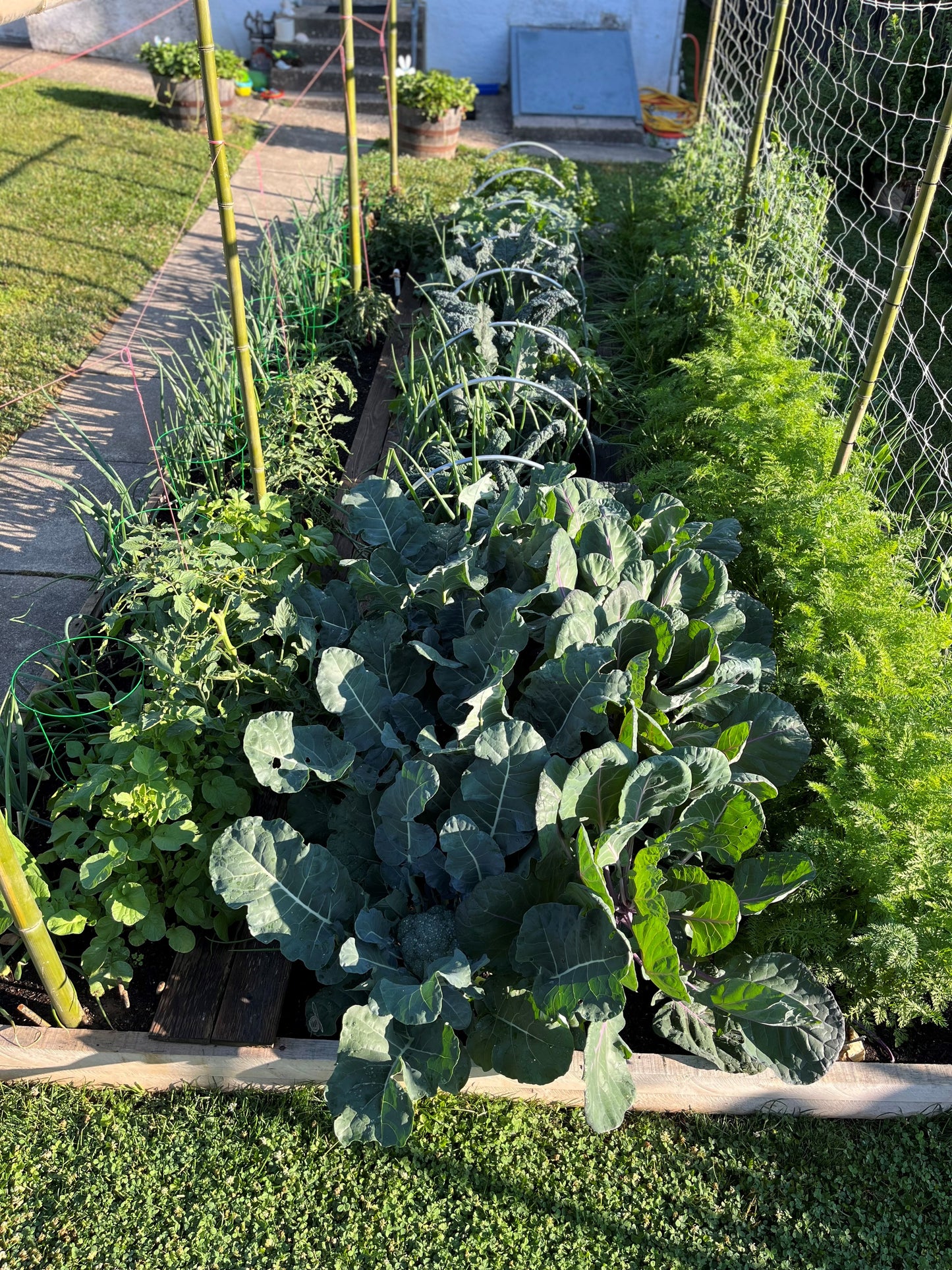 
                  
                    Living Soil Nutrient Pack
                  
                