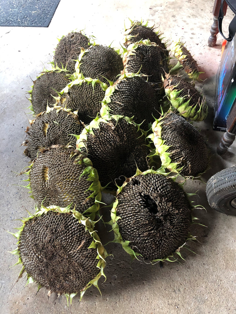 
                  
                    Living Soil Nutrient Pack
                  
                