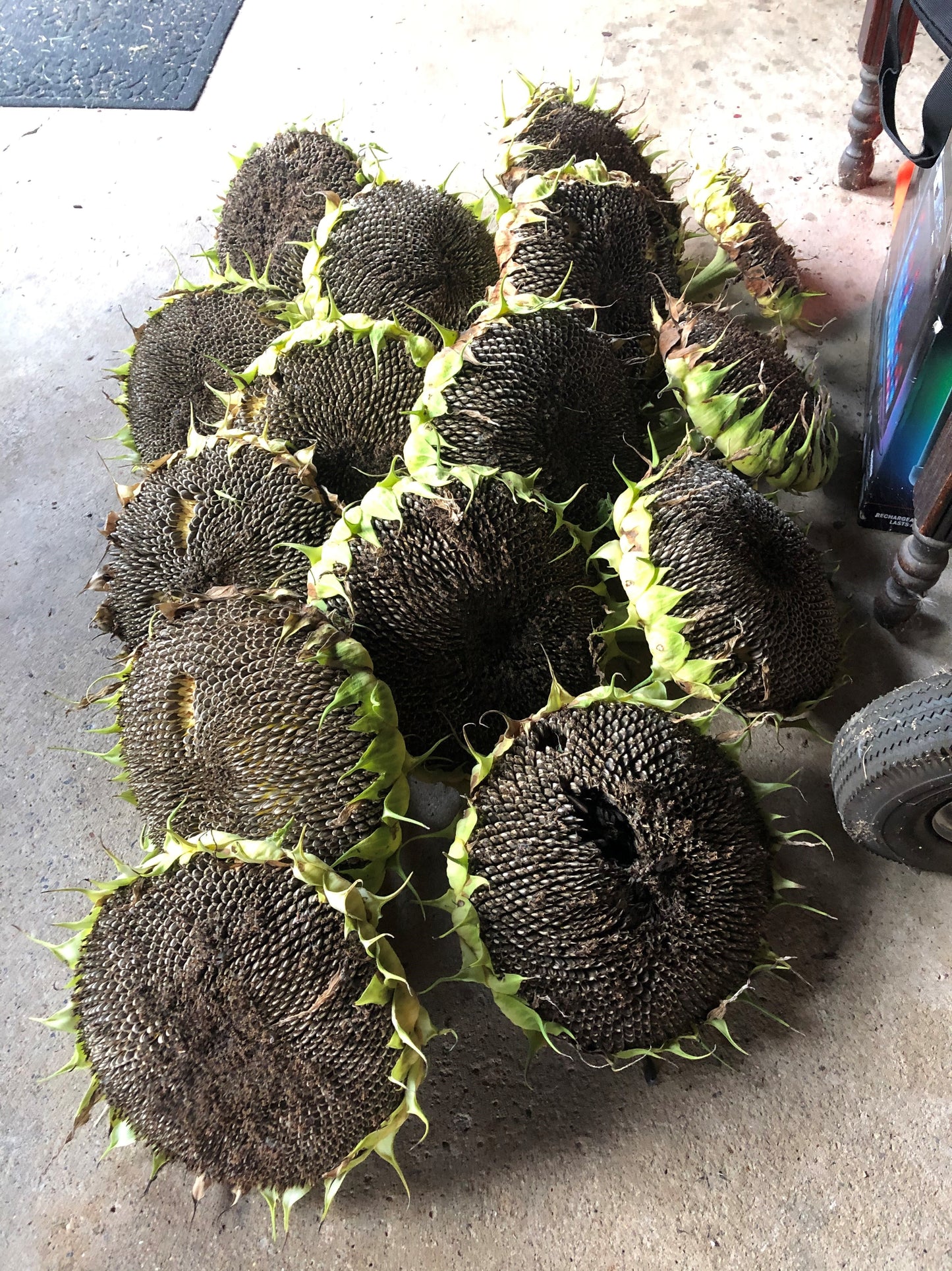 
                  
                    Living Soil Nutrient Pack
                  
                