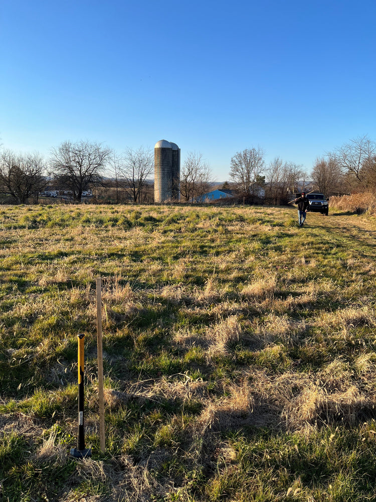 The Bio Soil Company