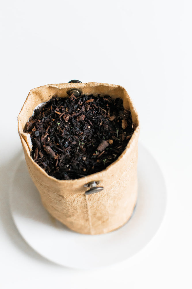 The Bio Soil Company