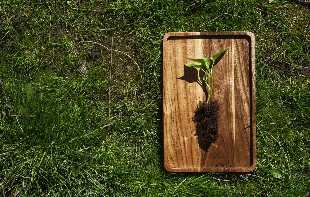 The Bio Soil Company